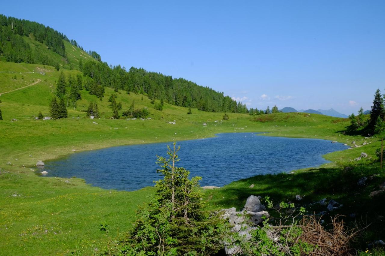 Casa Della Rosa Dolomites Experience Hotel Vigo di Cadore Eksteriør billede